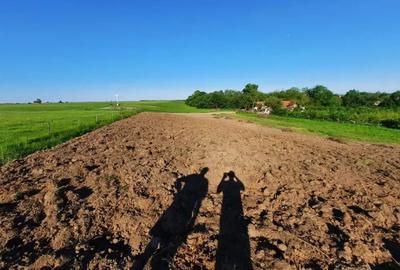 Teren de 5400 mp, în Ictar-Budinți - 3