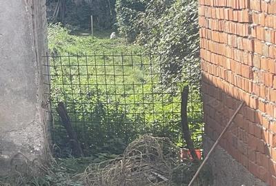 Casă cu 2 camere în Borlova - 5