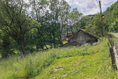 Teren de 4500 mp, în Muntele Băișorii - 5