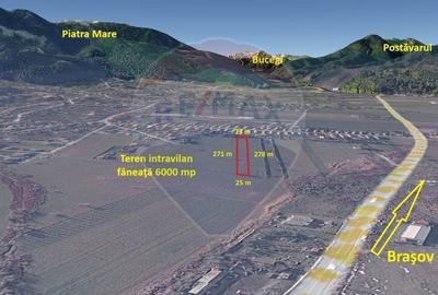 Teren agricol intravilan de 6000 mp, în Turcheș - 2