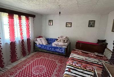Casă cu 4 camere cu Teren 3000 Mp în Videle