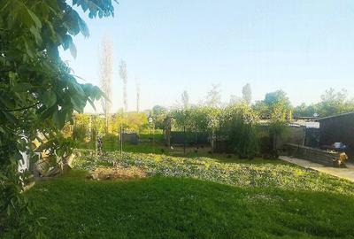 Teren de 2000 mp, în Curtișoara - 4