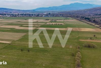 Teren de 1570 mp, în Plaiul Foii - 5