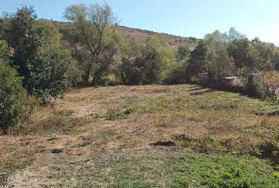 Teren Construcții intravilan de 1440 mp, în Borșa