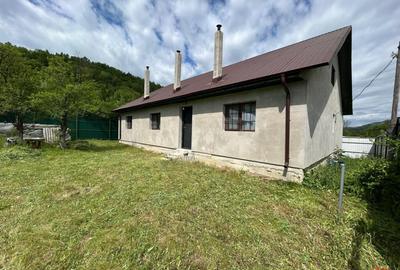 Casă cu 6 camere cu Teren 3426 Mp în Vrâncioaia - 1