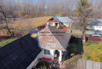 Casă individuală cu 3 camere cu Teren 5062 Mp în Târgu Neamț - 2