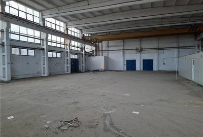 Spațiu industrial, de 1,000 mp, în Sărari - 1