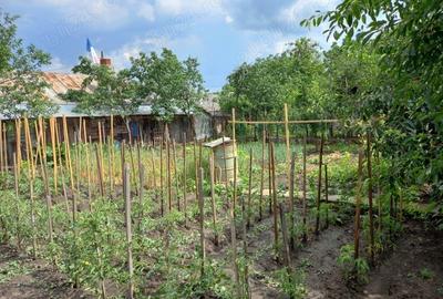 Casă cu 3 camere cu Teren 635 Mp în Central