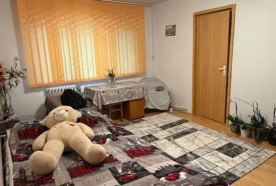 Apartament cu 2 camere semidecomandat în Govândari - 4