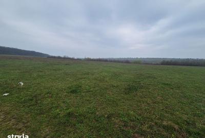 Teren de 10070 mp, în Mitocu Dragomirnei - 3