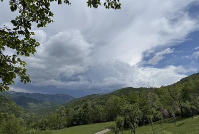 Teren de 10000 mp, în Prisacina