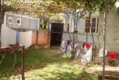 Casă cu 3 camere cu Teren 800 Mp în Beiuș - 3