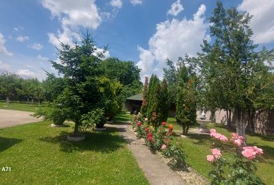 Casă individuală cu 3 camere cu Canalizare în Gruiu - 43