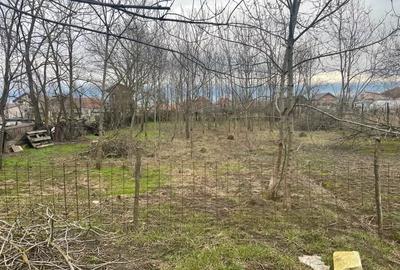 Casă cu Teren 1356 Mp în Jebel - 4