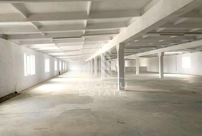 Spațiu industrial, de 10,000 mp, în Vest - 1
