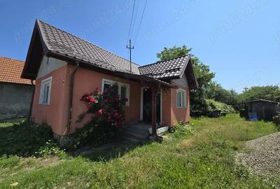 Casă cu 3 camere în Peceiu - 3