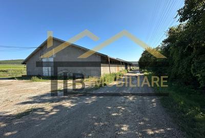 Spațiu industrial, de 1,061 mp, în Dumbrăvioara - 2