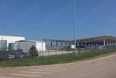 Teren de 9000 mp, în Vest - 5