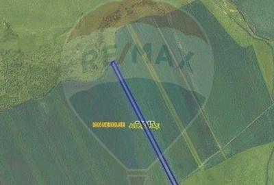 Teren agricol extravilan de 15400 mp, în Ion Neculce - 3