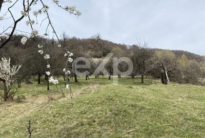 Teren Construcții intravilan de 21000 mp, în Corbi - 5