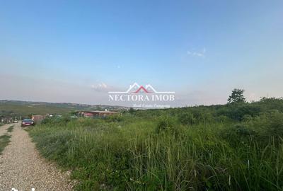 Teren de 500 mp, în Paleu
