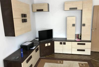 Apartament cu 2 camere semidecomandat în Calea Caransebeșului - 10