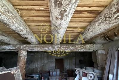 Spațiu comercial, în Agăș - 12