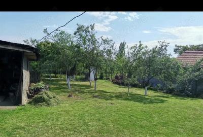 Teren de 1746 mp, în Orbeasca