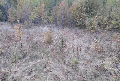 Teren de 10000 mp, în Central - 5