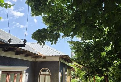 Teren de 3000 mp, în Amzacea