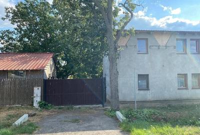 Casă cu Teren 3000 Mp în Bencecu de Jos - 2