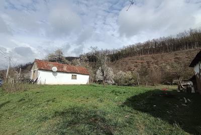 Teren de 1563 mp, în Central - 5