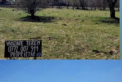 Teren de 440 mp, în Plaiul Foii - 1
