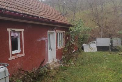 Casă cu Teren 2000 Mp în Central - 1