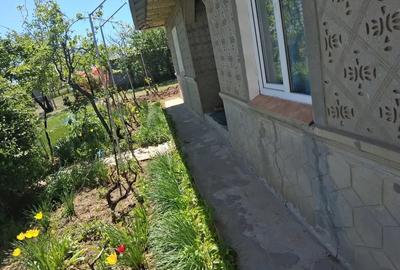 Casă cu 4 camere cu Teren 3400 Mp în Central