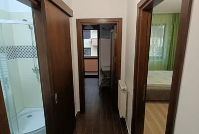 Garsonieră decomandată în Lunca Cetățuii - 1