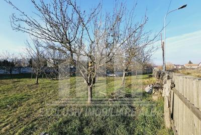 Teren Construcții intravilan de 1769 mp, în Cetate - 2