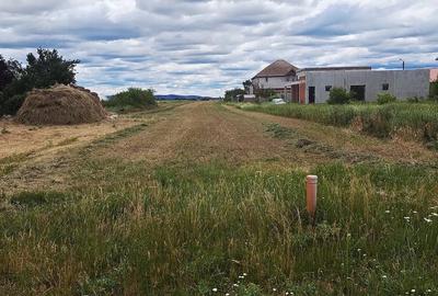 Teren de 10000 mp, în Vladimirescu - 2