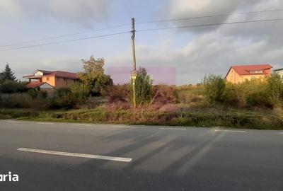 Teren de 5000 mp, în Adunații-Copăceni