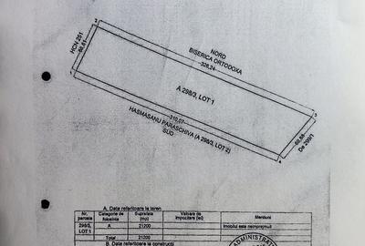 Teren agricol extravilan de 21200 mp, în Sud - 1