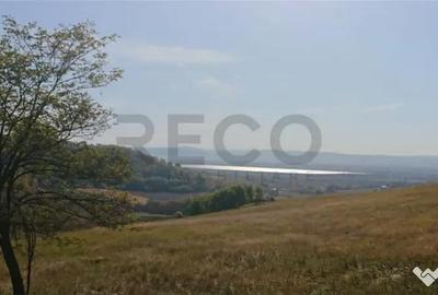 Teren de 8743 mp, în Tileagd - 2