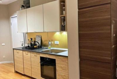 Apartament cu 2 camere semidecomandat, mobilat în P-ța Victoriei - 2