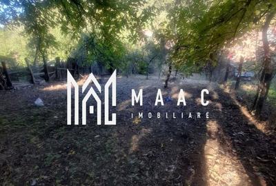 Teren Construcții intravilan de 800 mp, în Gura Râului - 2