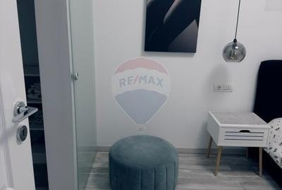 Apartament cu 2 camere decomandat, mobilat în Calea Severinului - 4