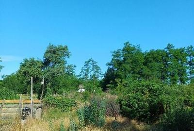 Teren de 1067 mp, în Grozești - 5
