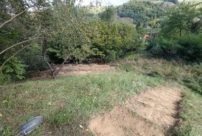 Teren de 1750 mp, în Bran - 1