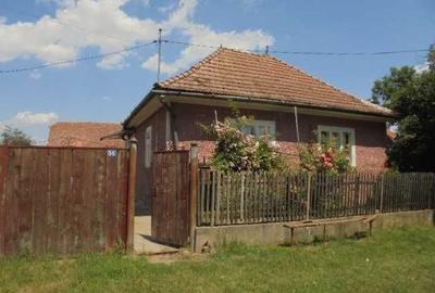 Casă cu 2 camere în Catalina