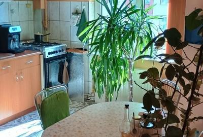 Apartament cu 3 camere decomandat în Drumul Carului - 6