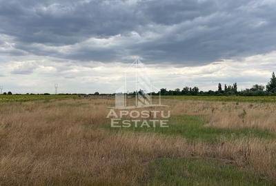 Teren Construcții intravilan de 1000 mp, în Sânmihaiu Român