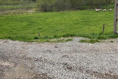 Teren de 1500 mp, în Vama Buzăului - 5